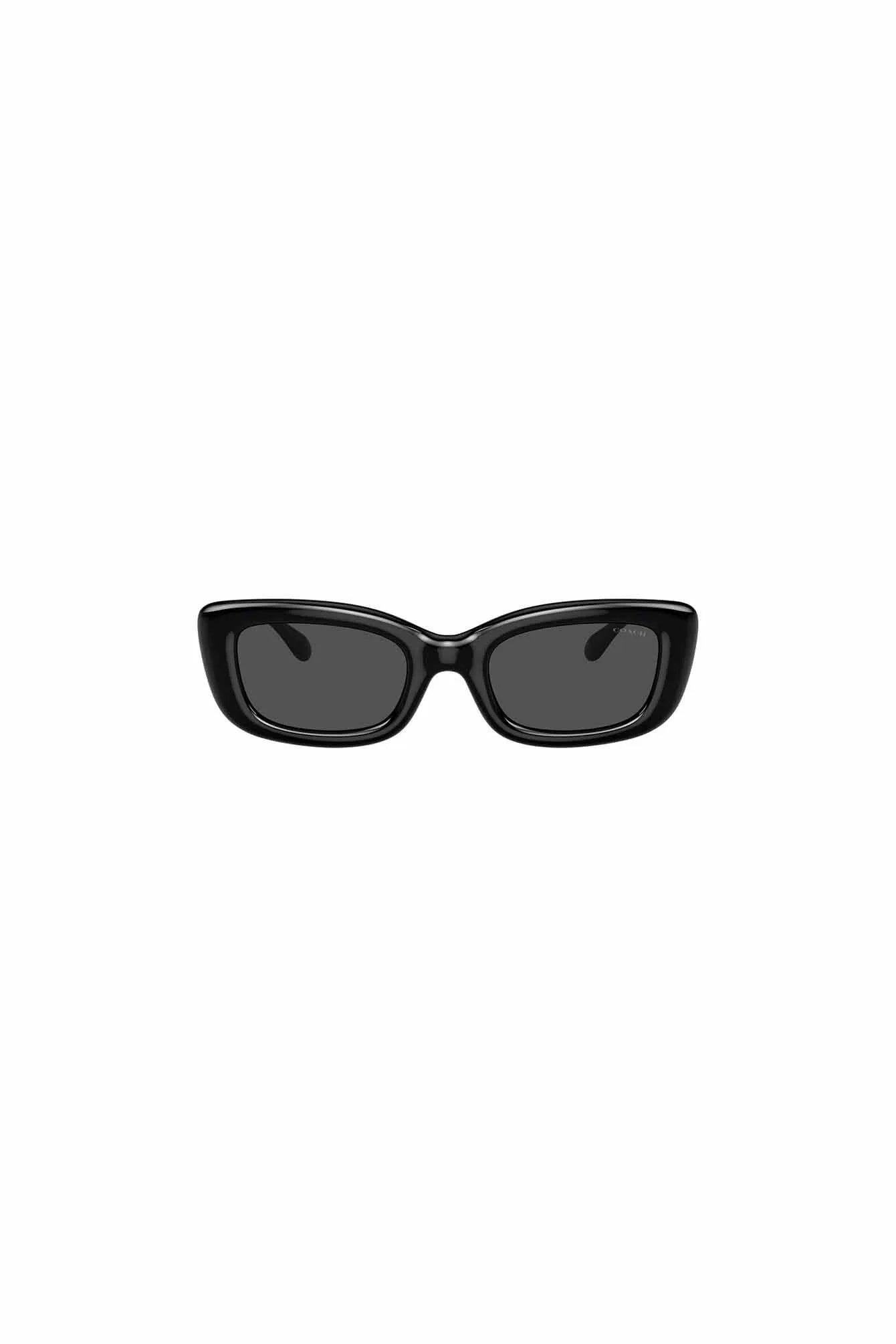 Sonnenbrille 0HC8390U 500287