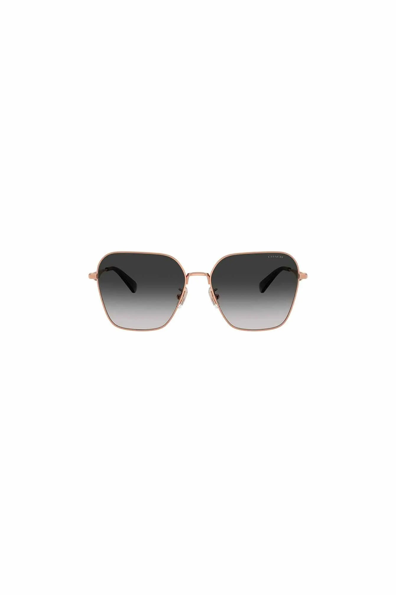 Sonnenbrille CW189 0HC7168 93313C