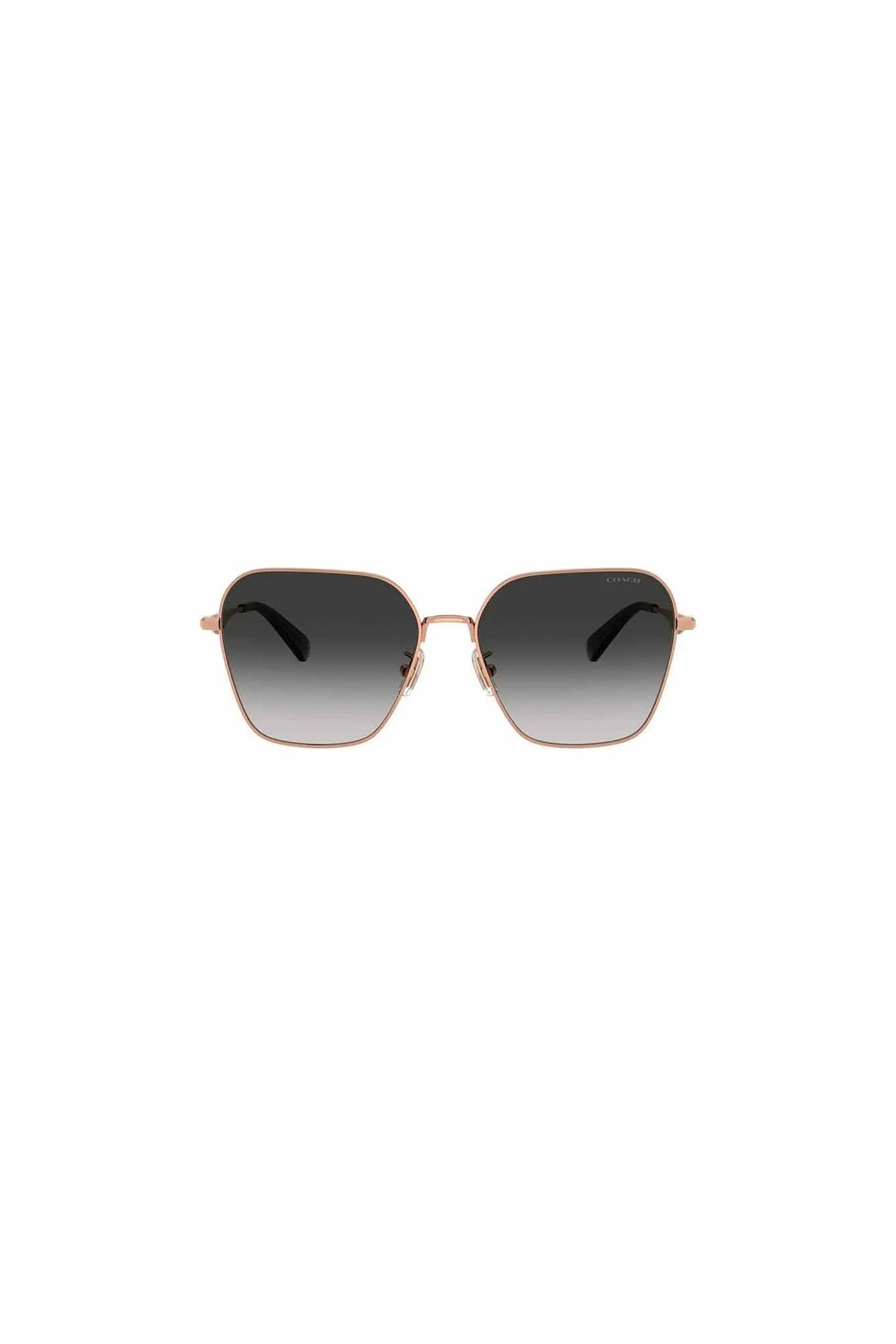 Sonnenbrille CW189 0HC7168 93313C