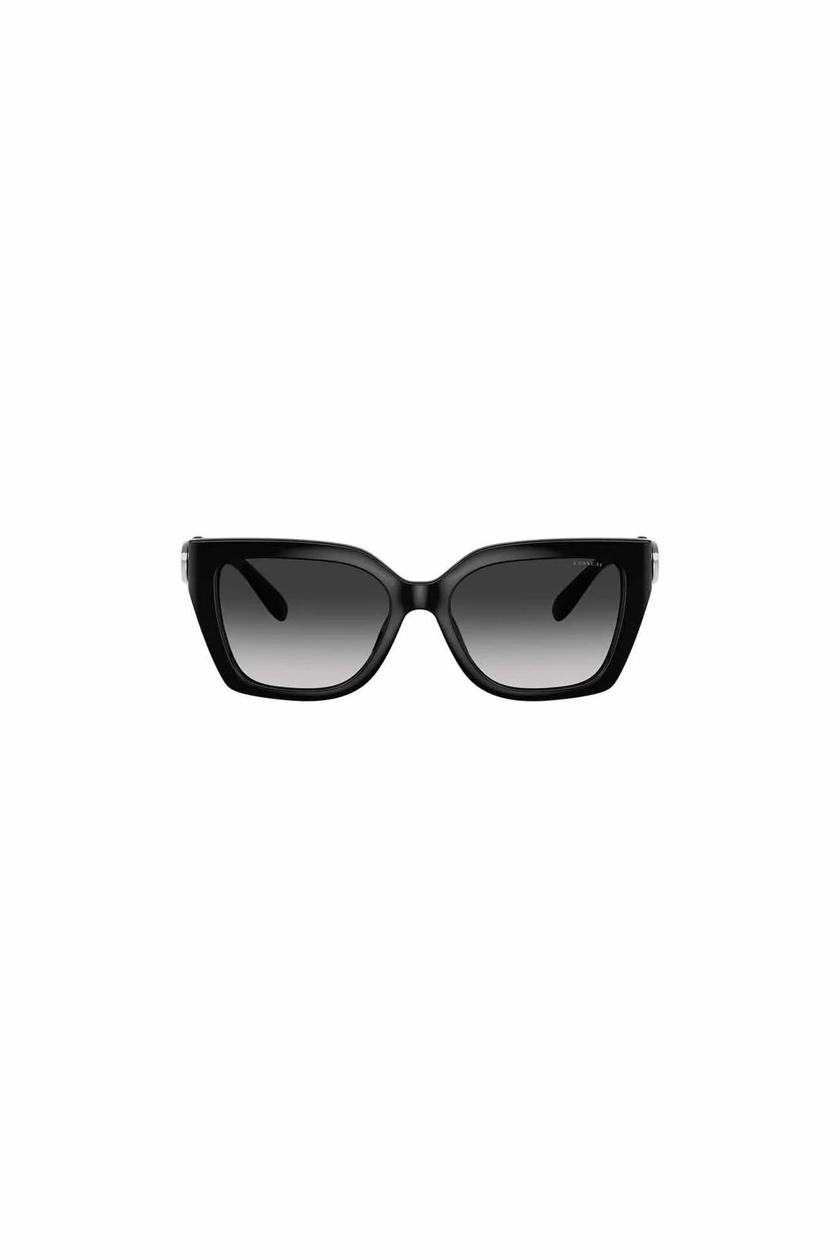 Sonnenbrille CW195 0HC8408U 50023C