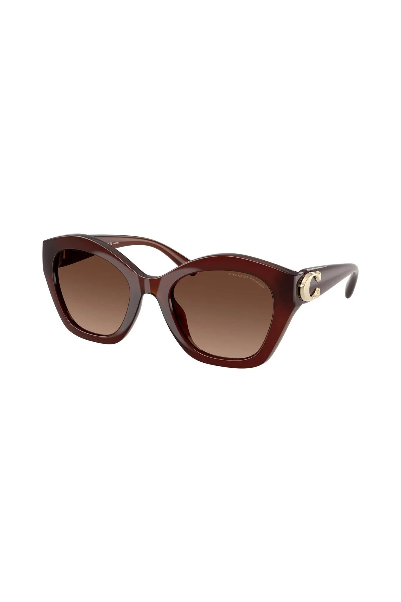 Sonnenbrille HC8421 584174