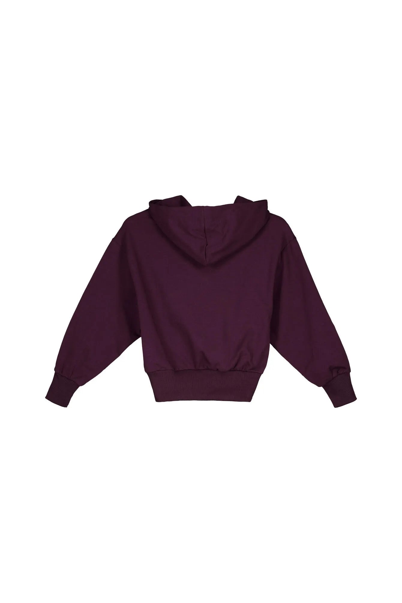 Sweatshirt aus Baumwollmix mit Kapuze