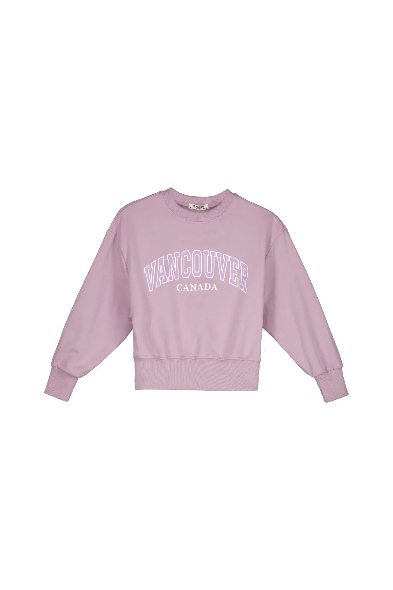 Sweatshirt aus Baumwollmix