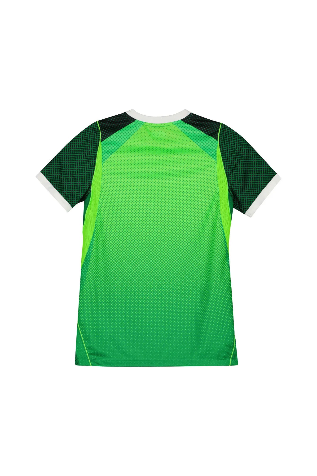 Heimtrikot NIGERIA 26 Kids