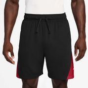 Shorts DRI-FIT Regular Fit