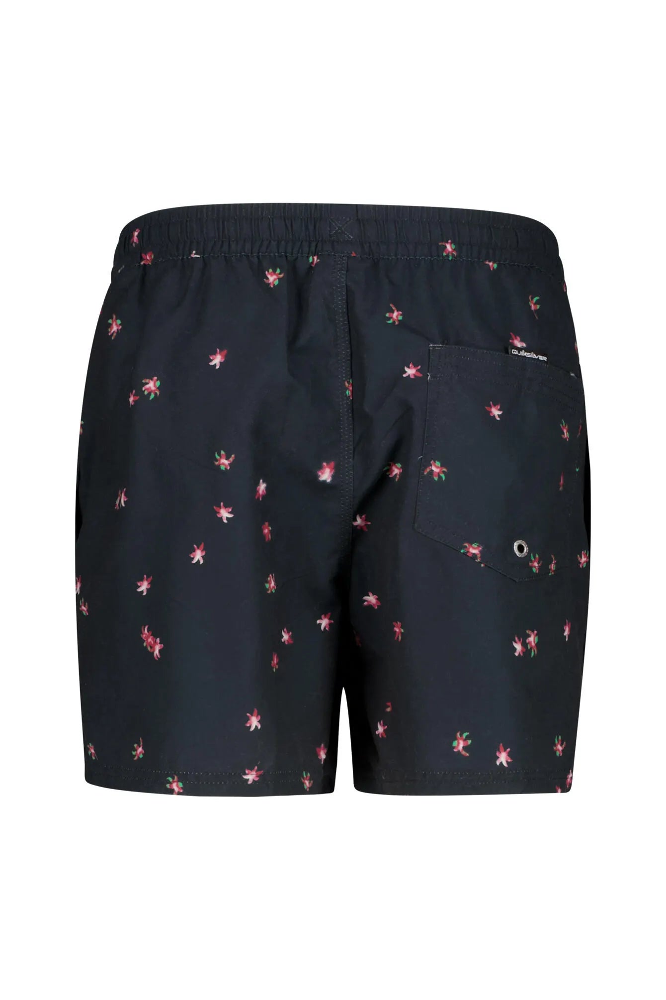 Badehose EVERYDAY PRINTED VOLLEY 15